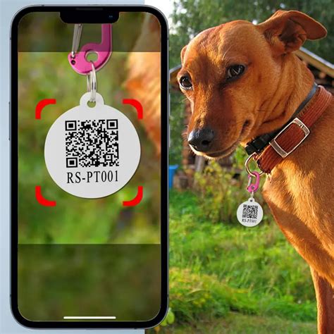 nfc animal tags|lost dog id tags.